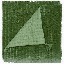 Load image into Gallery viewer, Velvet Moss Throw, Green
