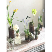 Load image into Gallery viewer, Mini Bulb Vase, 4.3&quot;
