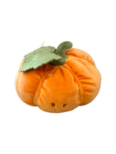 Load image into Gallery viewer, Baby Pumpkin
