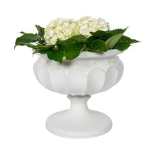 Load image into Gallery viewer, Berry &amp; Thread Large Decorative Urn, Whitewash
