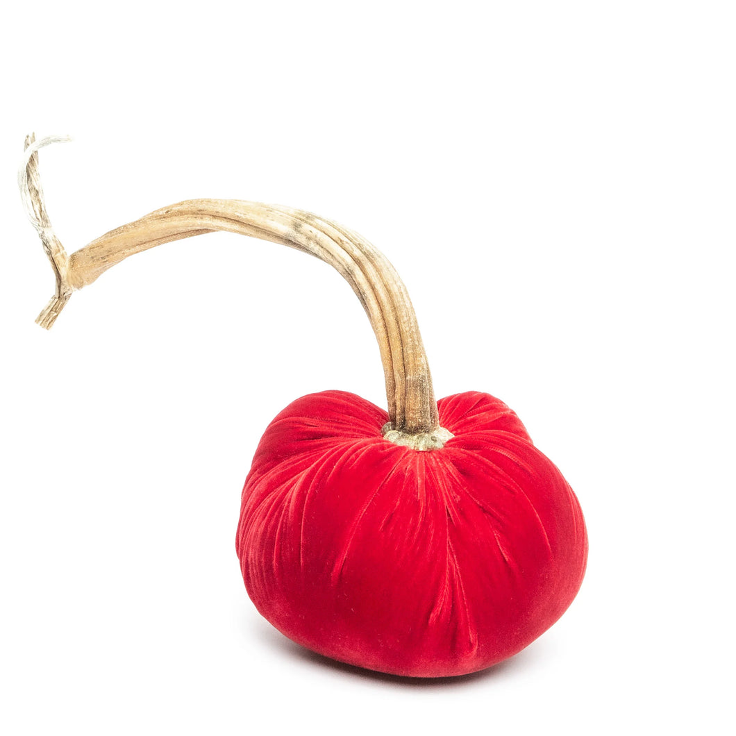 Poppy Silk Velvet Pumpkin, 8