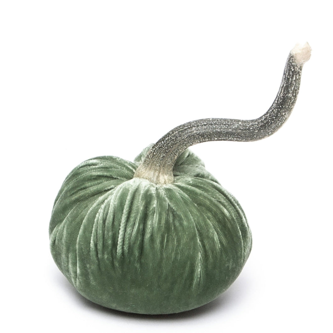 Sage Silk Velvet Pumpkin, 4