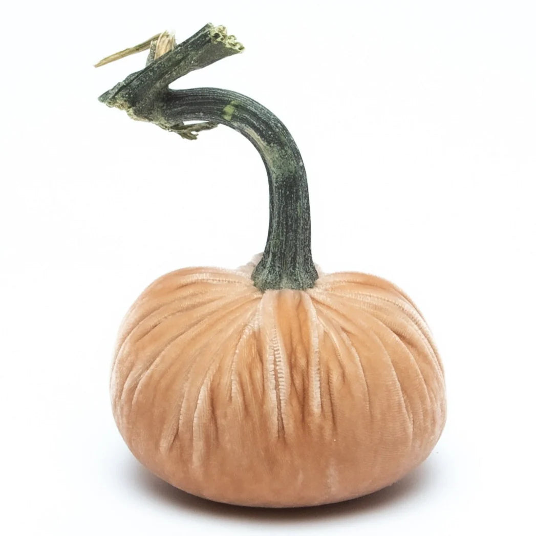 Sandstone Silk Velvet Pumpkin, 8