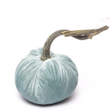 Load image into Gallery viewer, Seafoam Silk Velvet Pumpkin, 3&quot;
