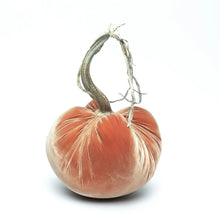 Load image into Gallery viewer, Spice Silk Velvet Pumpkin, 8&quot;
