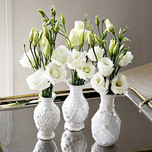 Load image into Gallery viewer, Jardins du Monde Mini Vase Trio Set/3pc, Whitewash
