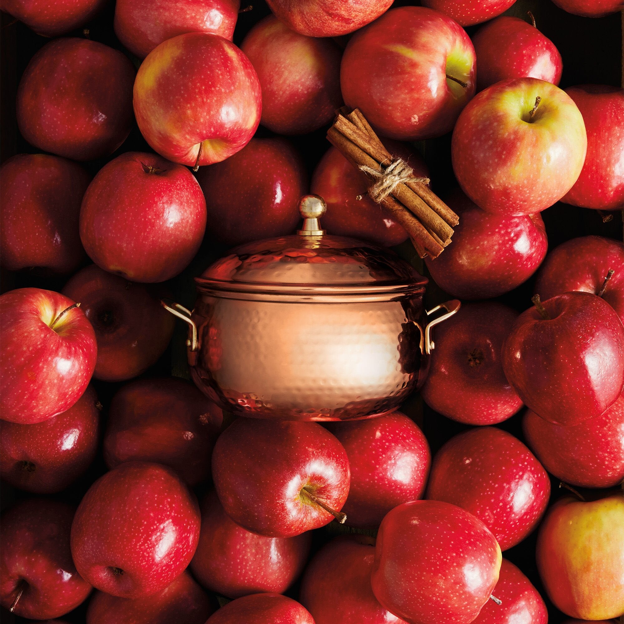 Simmered Cider Copper Pot 3-Wick Candle