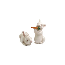 Load image into Gallery viewer, Spring Vegetables Bunny Salt and Pepper
